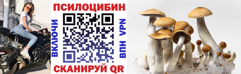 Галлюциногенные грибы Psilocybe  Каргополь 